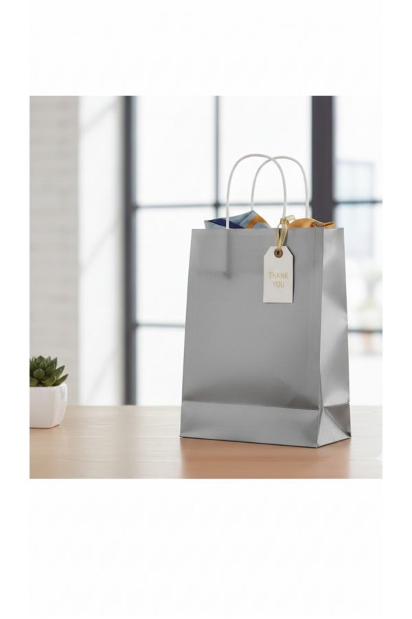 25x12x31 GRİ Renk Karton Çanta 25 Li Beyaz Sap